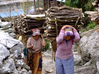 Women carrying firewood in Nepal